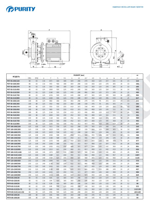 Консольно-моноблочный насос Purity PSTCm  40-125/22 (N)