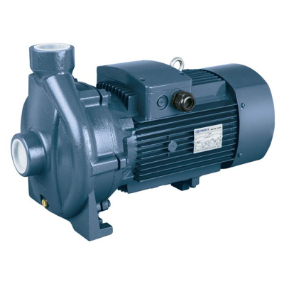 Моноблочный насос с резьбовыми патрубками Purity PC 5AM (N)