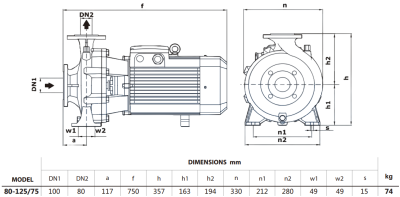 Центробежный насос Purity PSTG-R5 80-125/75