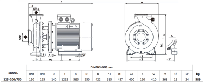 Центробежный насос Purity PSTG-R5 125-200/750